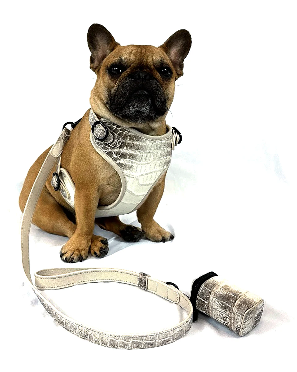 Doris in the Himalayan crocodile harness with its matching leash and poop bag holder