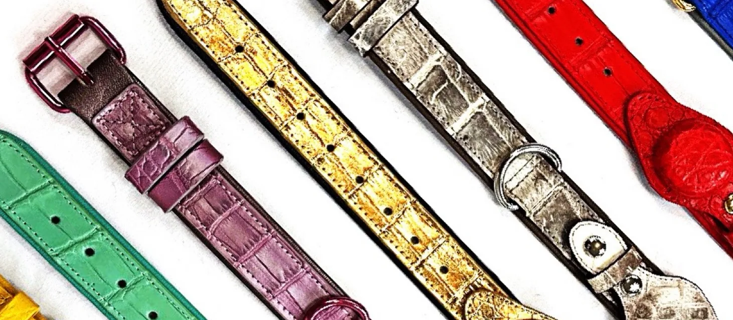 Flat lay of Rich Dogue handcrafted crocodile dog collars in green, yellow, purple, gold, Himalayan, red and blue