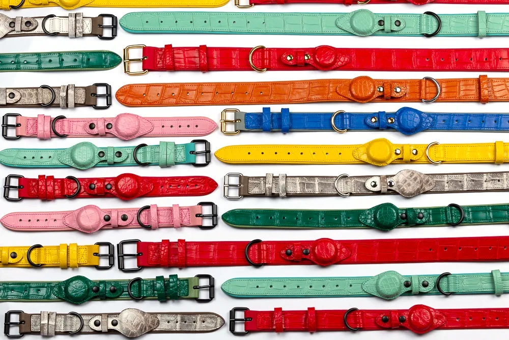 Rich Dogue crocodile dog collars laid side by side in a rainbow of colours