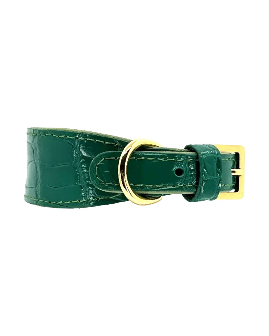 Green Crocodile Collar with gold hardware, studio product shot