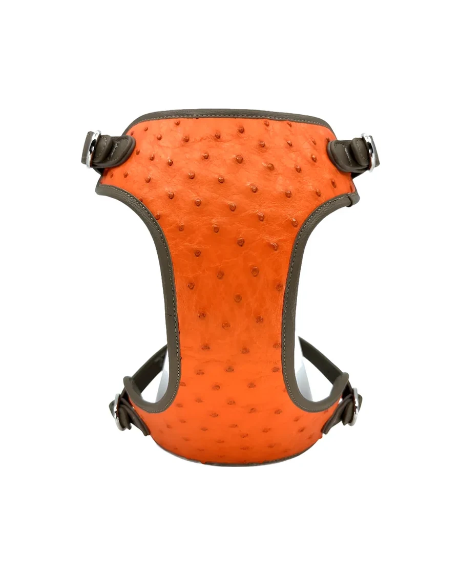 Sunset Orange Ostrich Harness, front view