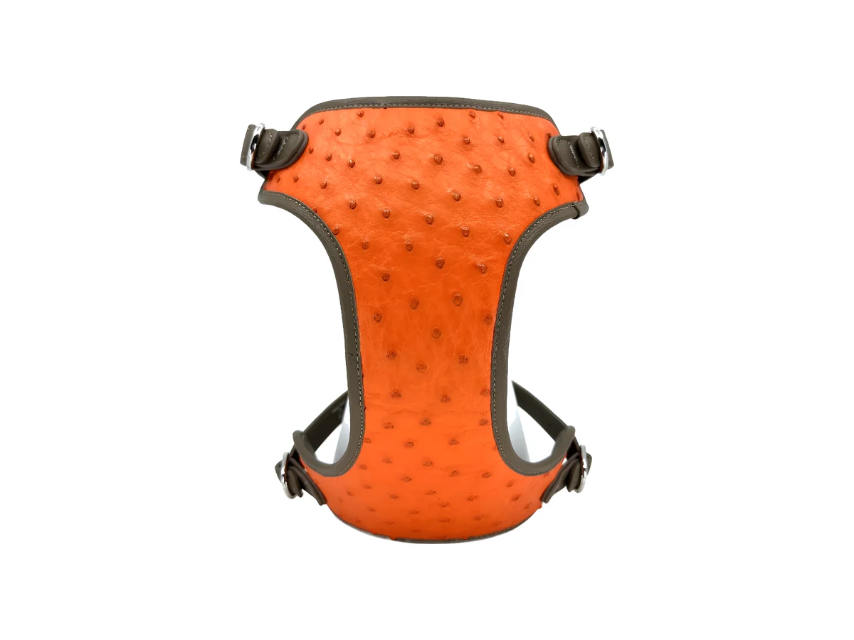 Sunset Orange Ostrich Harness, front view on white
