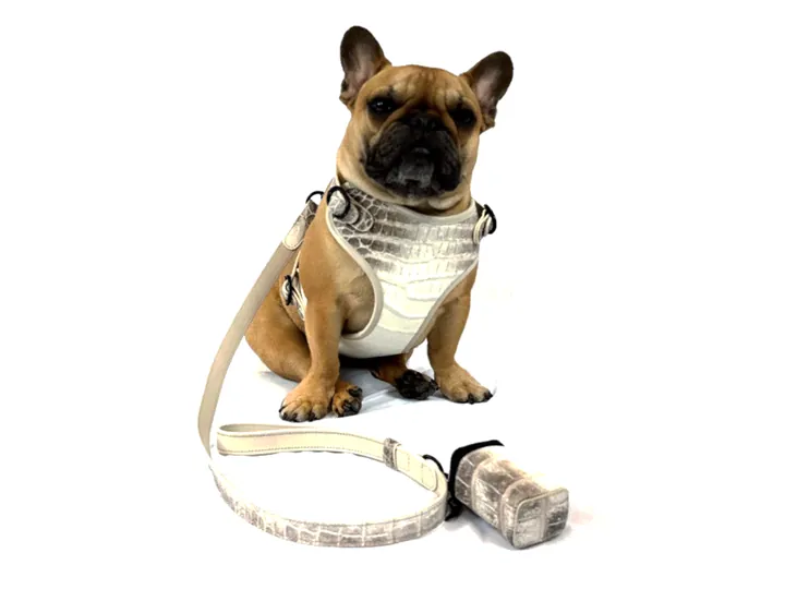 Himalayan Crocodile Harness & Matching Collar, matching black hardware on harness and collar: luxury crocodile dog harness and matching collar