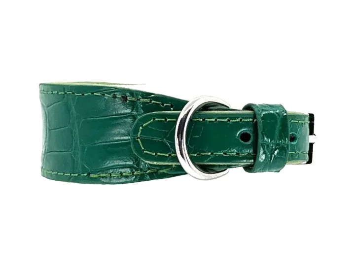 Green Crocodile Collar, silver hardware: luxury crocodile leather dog collar
