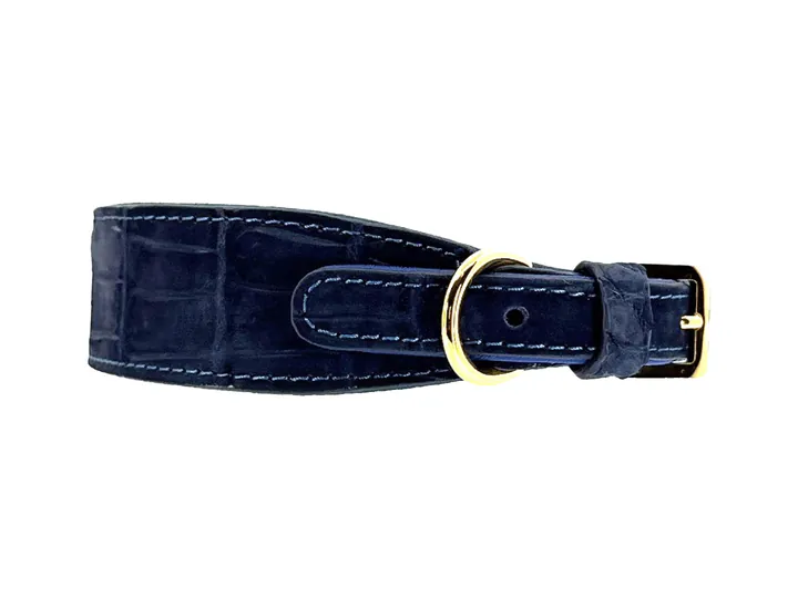Marine Blue Suede-Finish Crocodile Collar, gold hardware: luxury crocodile leather dog collar