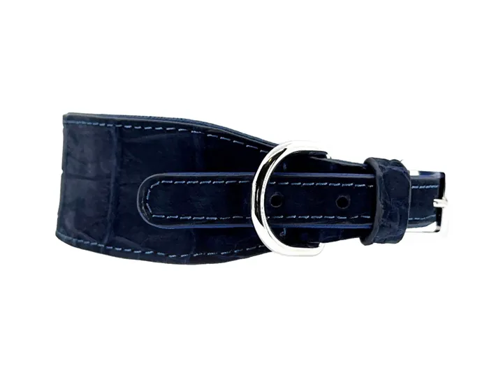 Marine Blue Suede-Finish Crocodile Collar, silver hardware: luxury crocodile leather dog collar