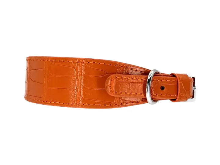 Orange Crocodile Collar, silver hardware: luxury crocodile leather dog collar