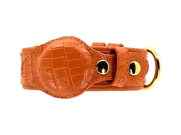 Orange Crocodile Tracker Collar, gold hardware: luxury crocodile AirTag dog collar