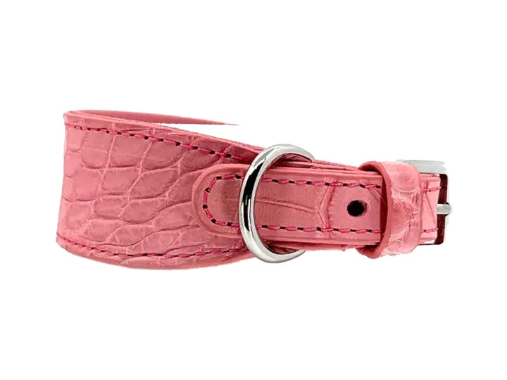 Paris Pink Crocodile Collar, silver hardware: luxury crocodile leather dog collar