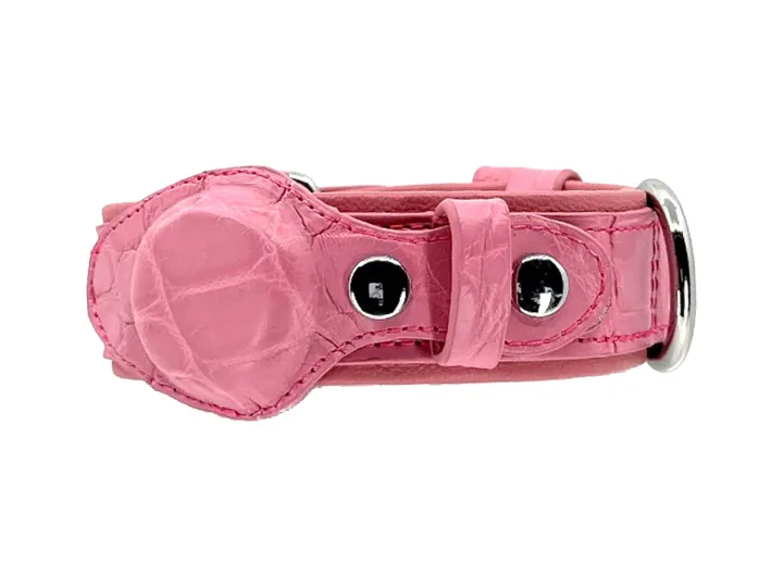 Pink Crocodile Tracker Collar, silver hardware: luxury crocodile AirTag dog collar