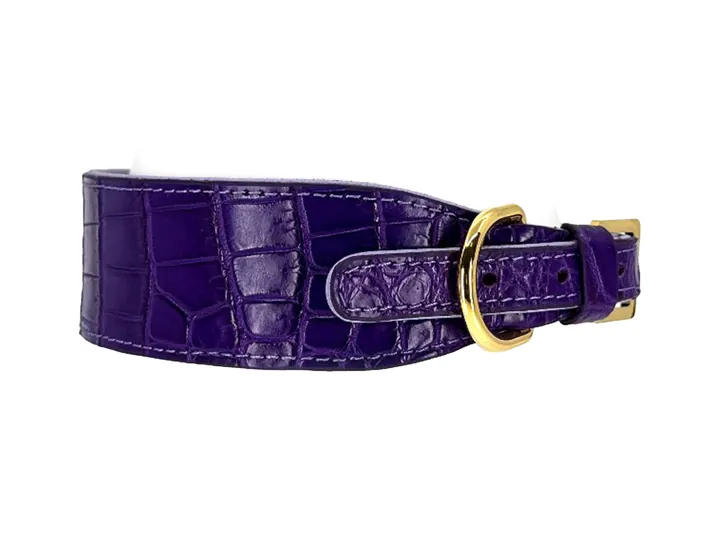 Purple Crocodile Collar, gold hardware: luxury crocodile leather dog collar