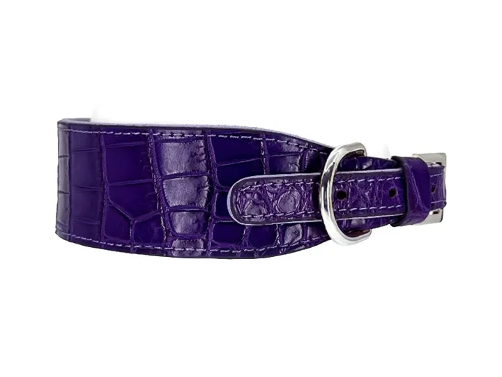 Purple Crocodile Collar, silver hardware: luxury crocodile leather dog collar