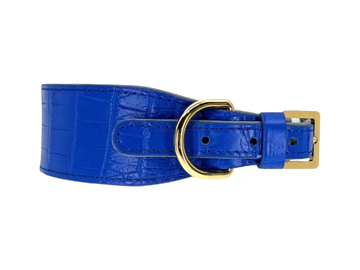 Royal Blue Crocodile Collar, gold hardware: luxury crocodile leather dog collar