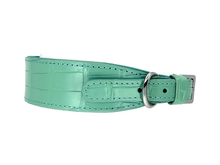 Teal Blue Crocodile Collar, silver hardware: luxury crocodile leather dog collar