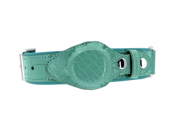 Teal Blue Crocodile Tracker Collar, silver hardware: luxury crocodile AirTag dog collar