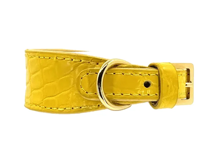 Yellow Crocodile Collar, gold hardware: luxury crocodile leather dog collar