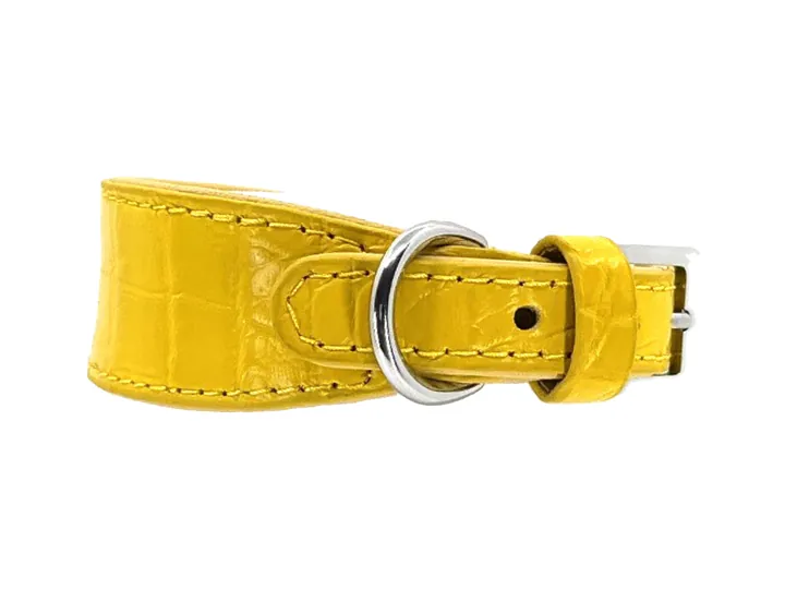 Yellow Crocodile Collar, silver hardware: luxury crocodile leather dog collar